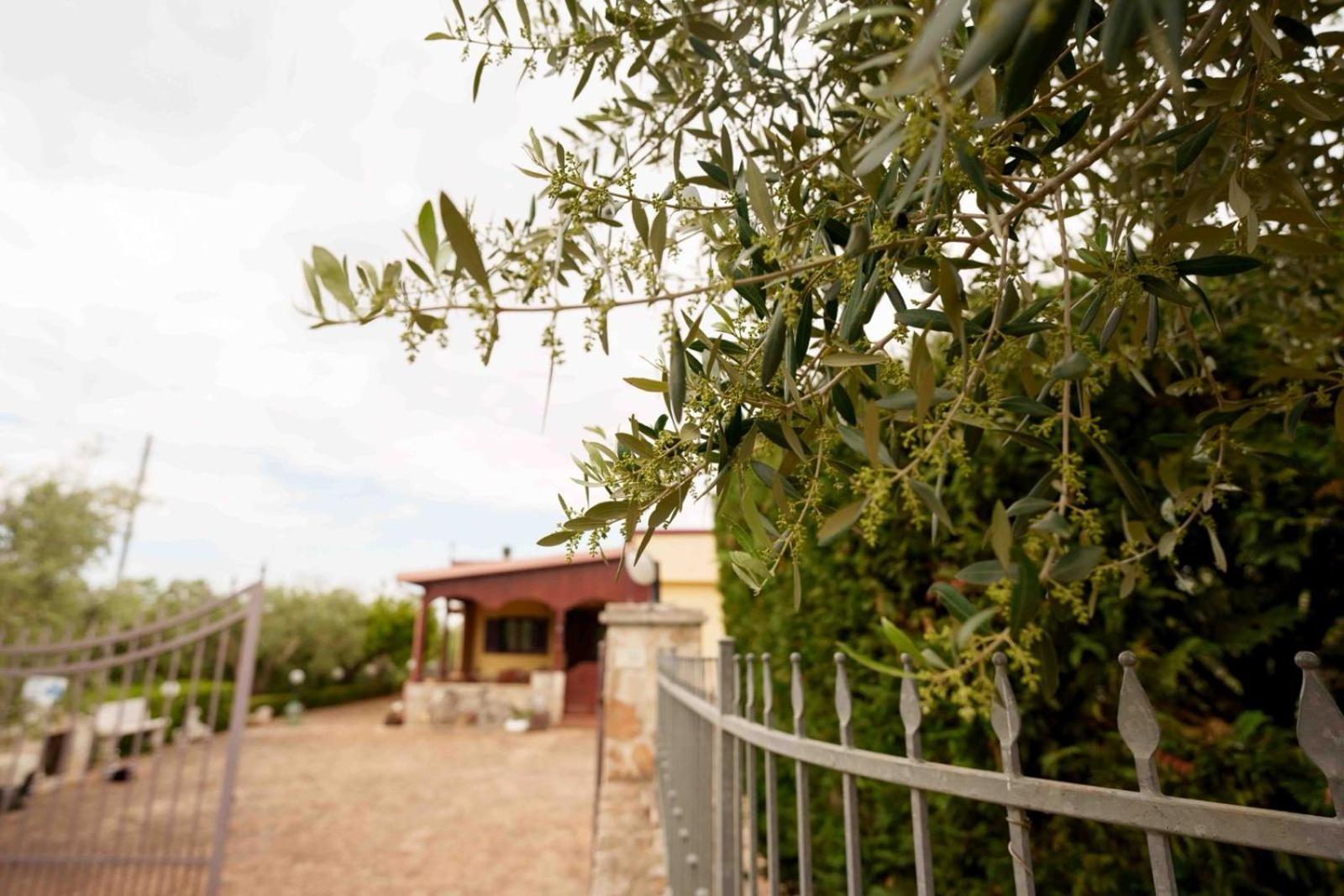 Villa Mario Mottola Bagian luar foto